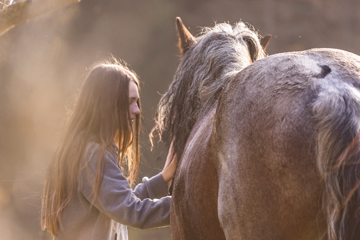 Practicing animal communication with a horse.