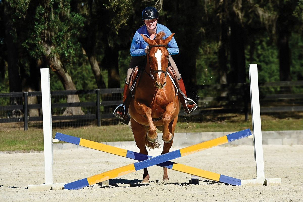 The pair stays straight and centered over the cross-rail using chute poles on the takeoff side. 