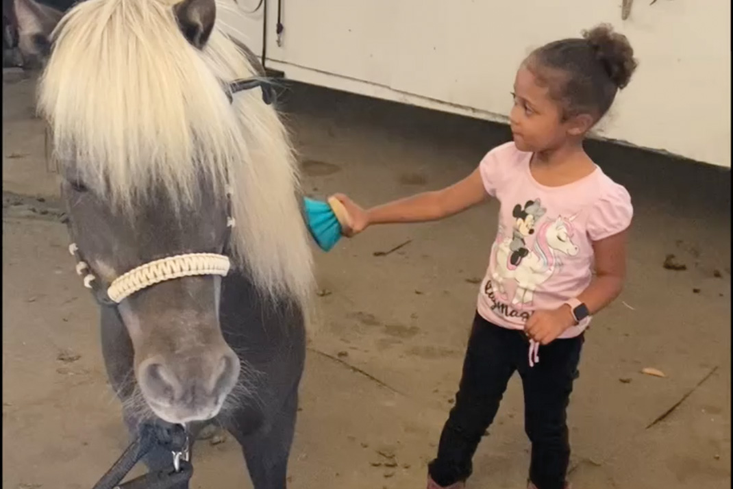 Brianna's baby brushes a pony at the barn