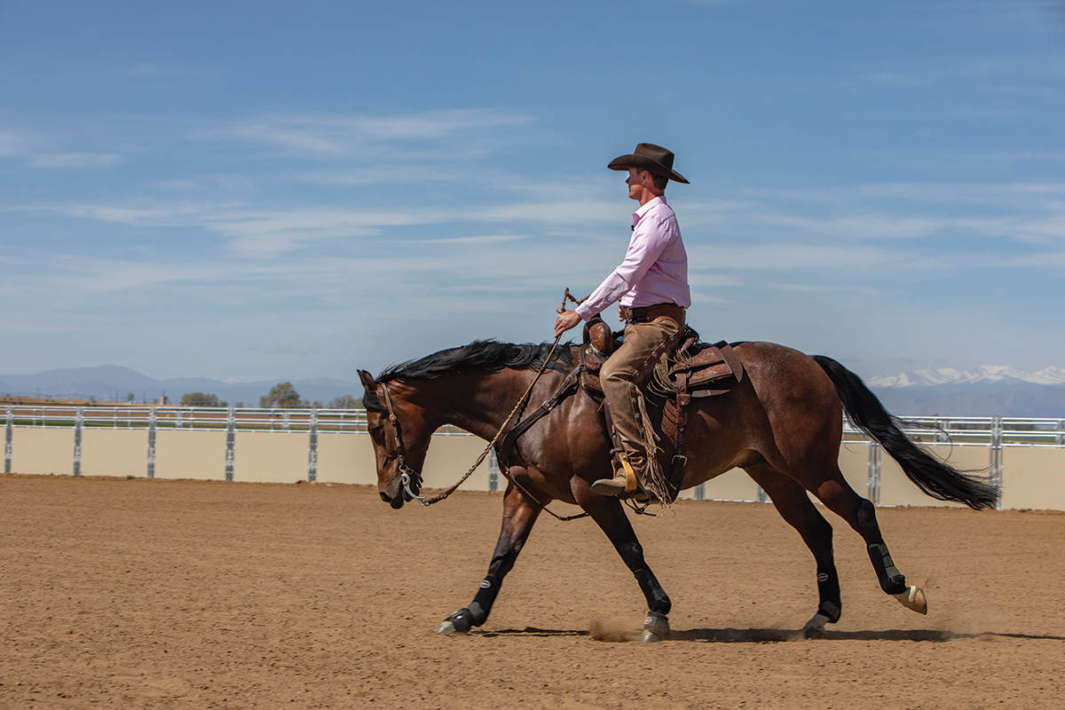 A trainer loping a horse on a long rein to encourage moving freely, preventing breaking gait