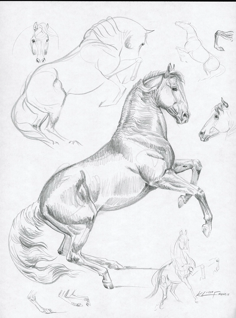 A sketch showing the beginning of the design process.