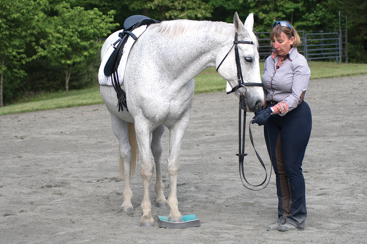Wendy Murdoch, who has developed the SURE FOOT for horse and rider core stability