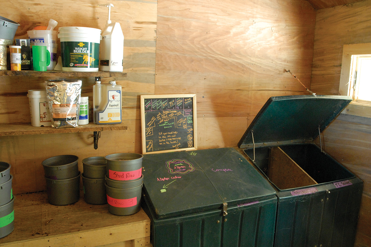 Second-hand sealed feed bins are a barn hack to keep out pests