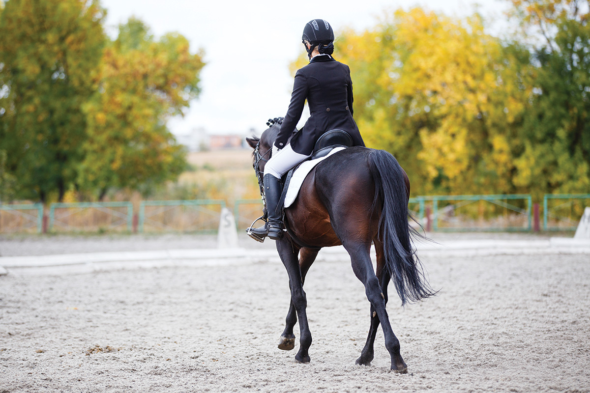 A rider performing dressage movements on her horse