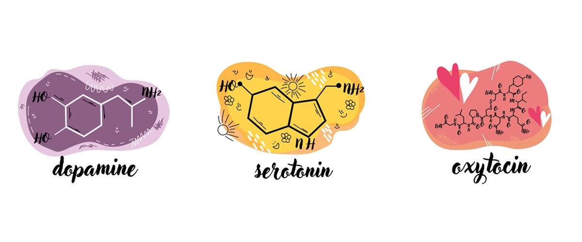 Dopamine, serotonin, and oxytocin — crucial brain chemicals when it comes to equestrian neuropsychology.
