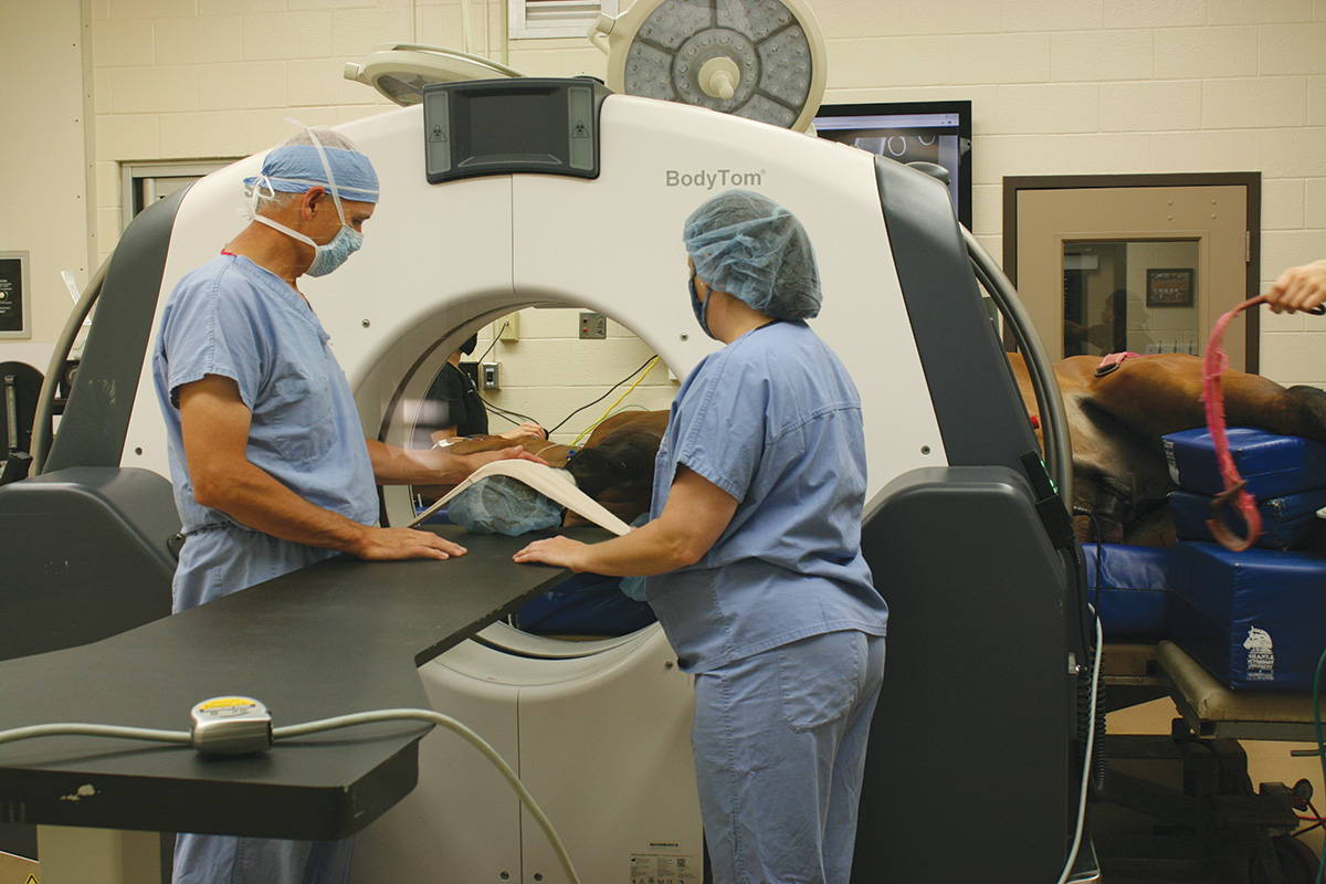 A CT scan at Rood and Riddle