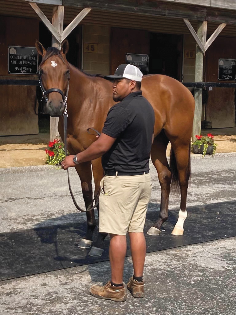 Gio Garcia working at a Thoroughbred sale.
