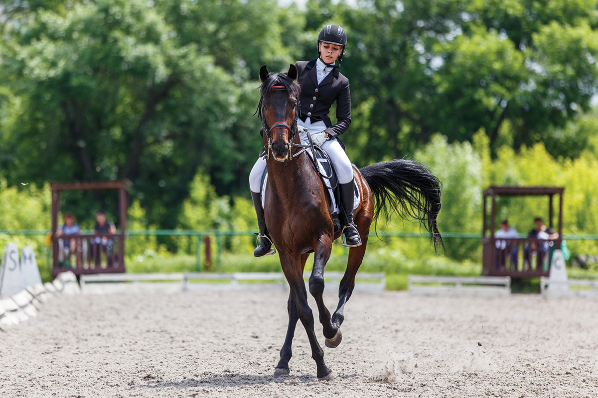 A horse displays poor behavior in response to an ill-fitting saddle