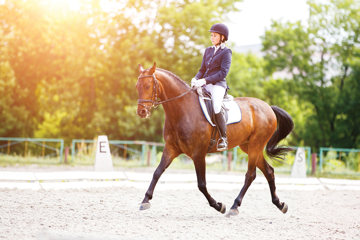 An equestrian riding dressage