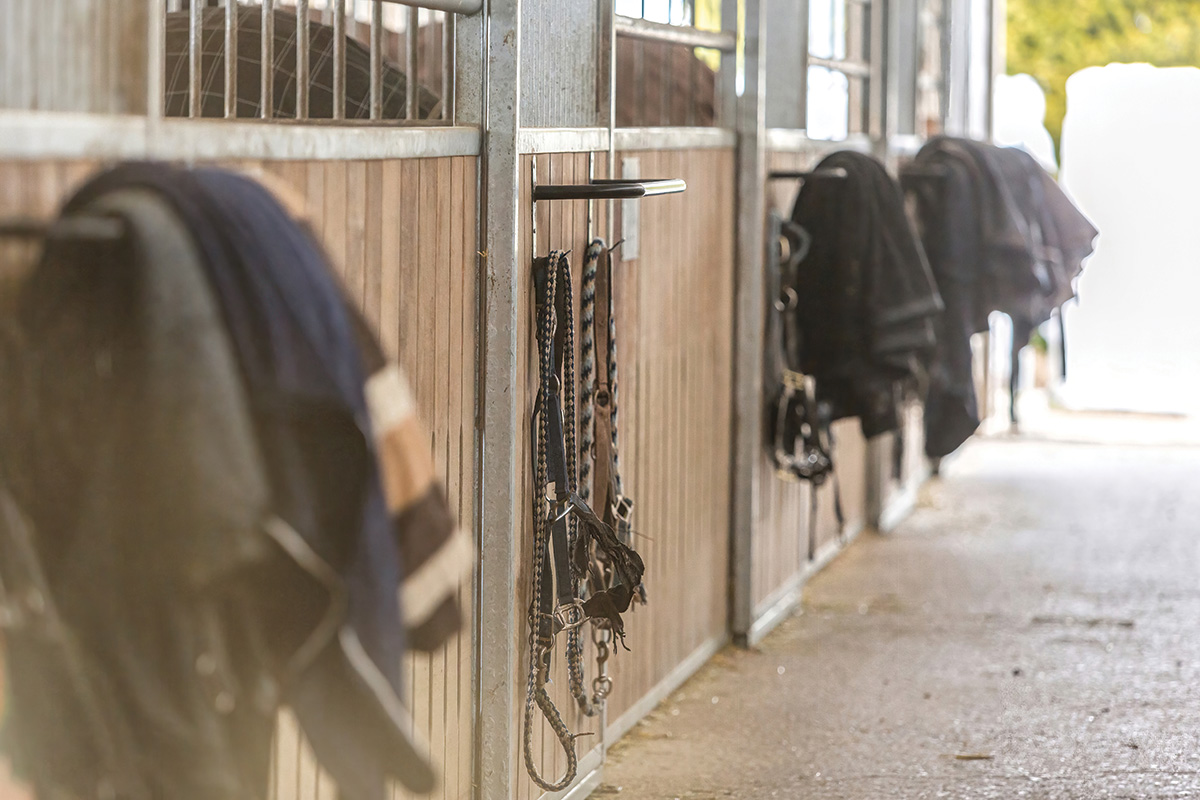 A clean barn aisle. Cluttering a barn aisle is a common horse care mistake.