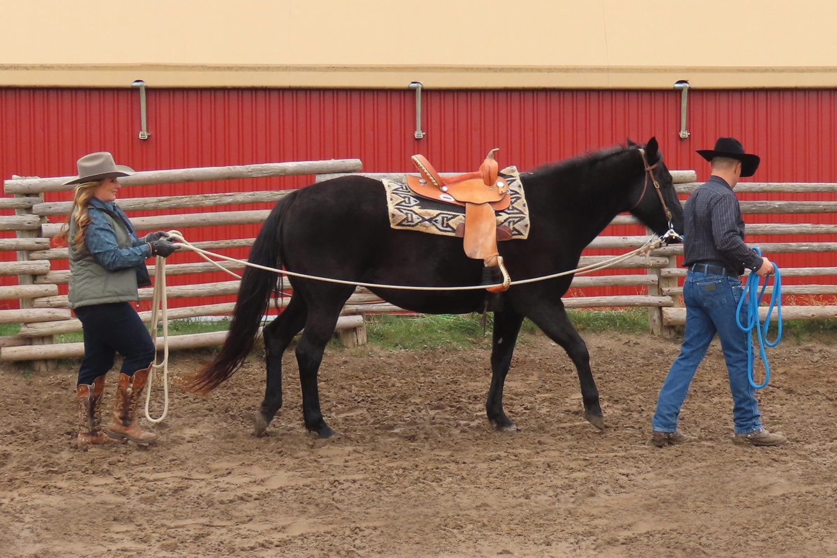 Bronwyn and Jason Irwin work on teaching a horse to ground drive.