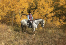 An equestrian on a hack in the fall