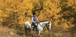 An equestrian on a hack in the fall