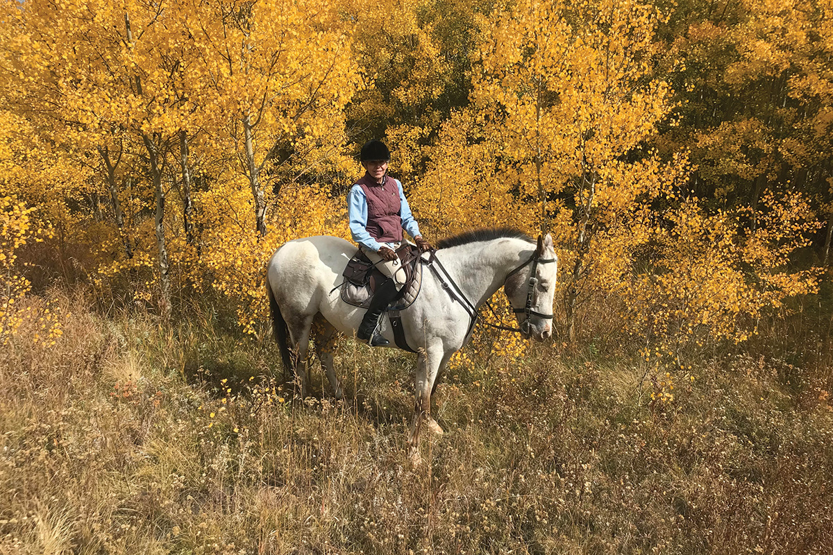 An equestrian on a hack in the fall