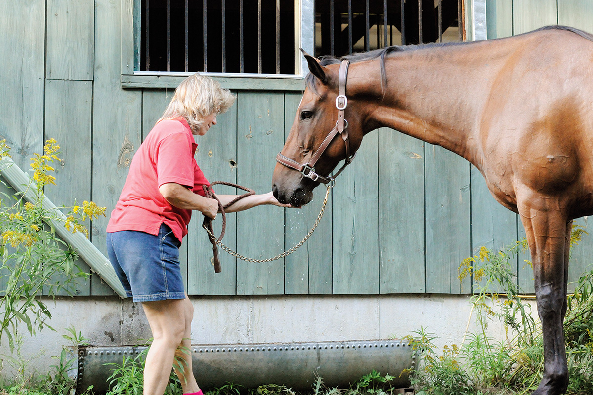 A horse drinks out of a rainwater, which saves equestrians money on bills during inflation