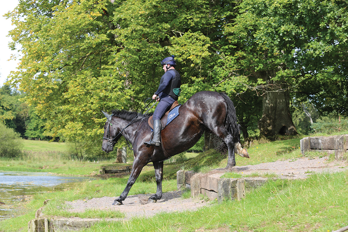Horseback riding on a cross-country course in Ireland.