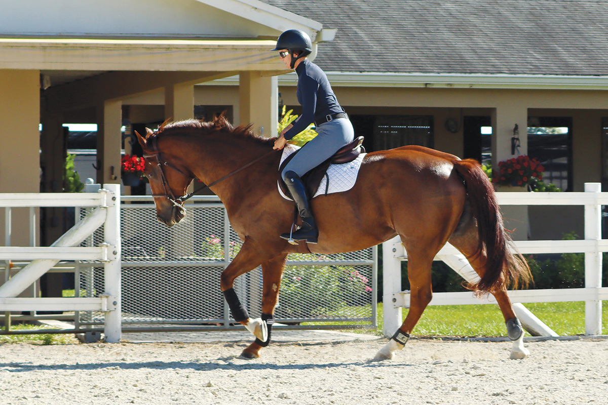 A rider canters her horse