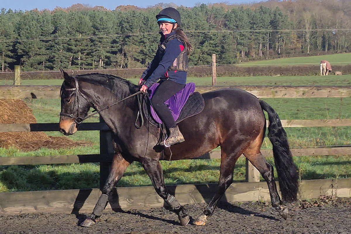 A girl riding a New Forest Pony