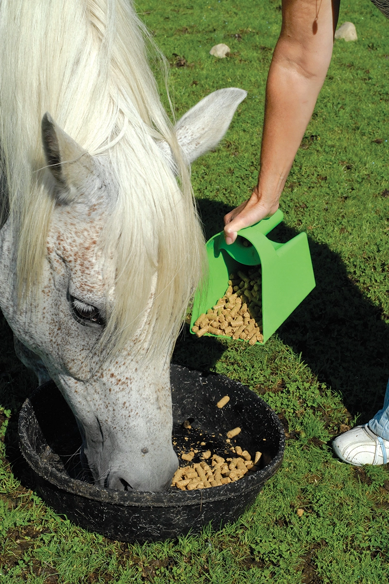 A horse eating pelleted feed.