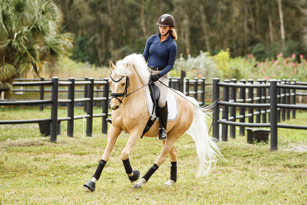 A palomino being ridden in dressage