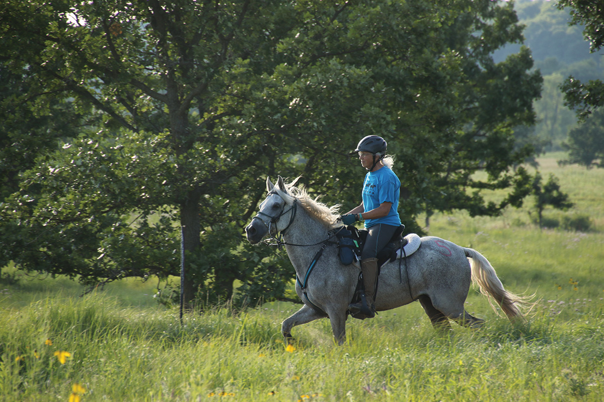 An equestrian competing in endurance riding