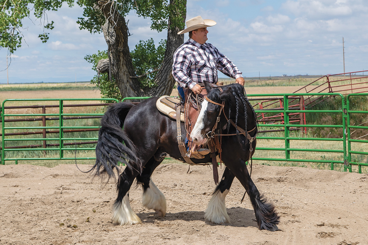 A horseman disengages a horse's hindquarters to prevent bucking