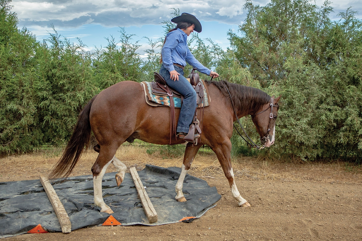 A trainer riding a horse over poles set on a tarp as a ranch riding training exercise.