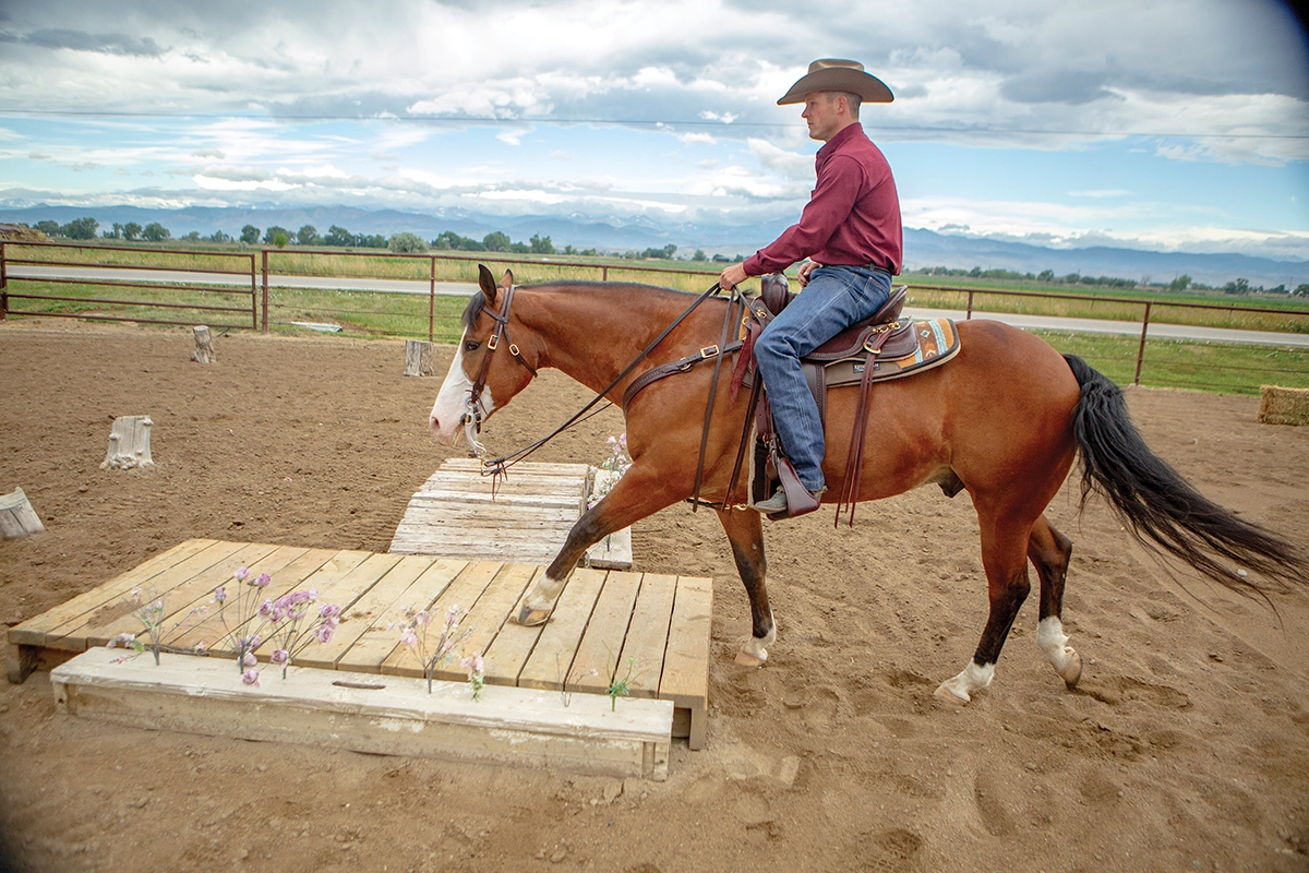 The ranch horse steps onto the bridge obstacle for trail class practice.