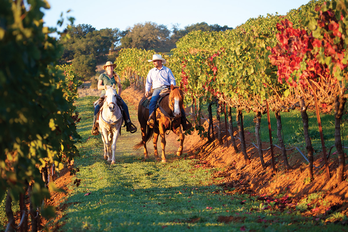 Two riders take a relaxing ride on their horses together to regain confidence