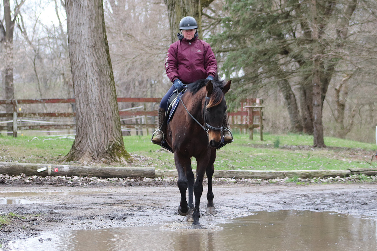 An equestrian rides her horse through a large puddle