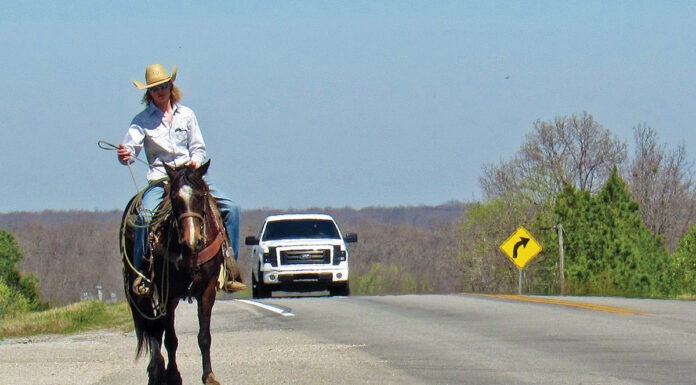 A cowgirl riding her horse along a road with a truck driving behind them