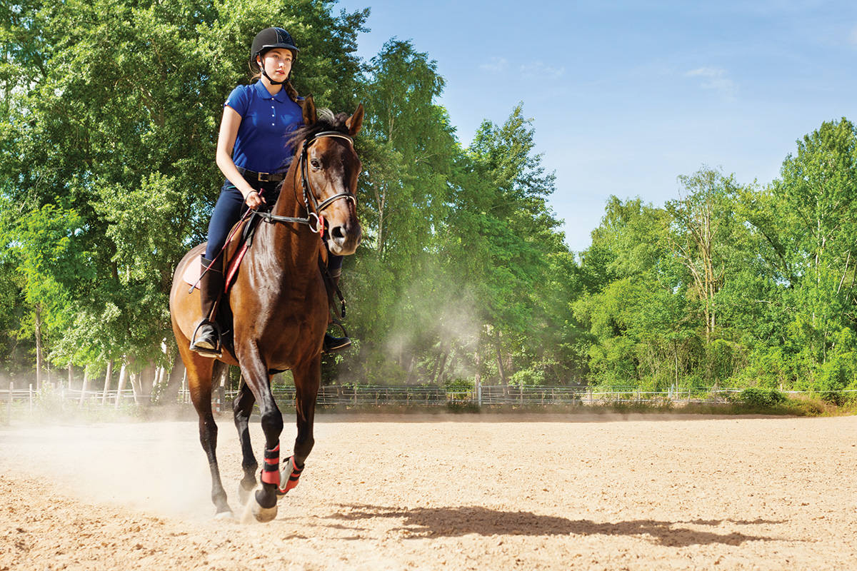 An equestrian cantering in an arena