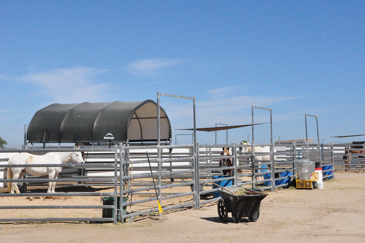 Outdoor pens framed by panels