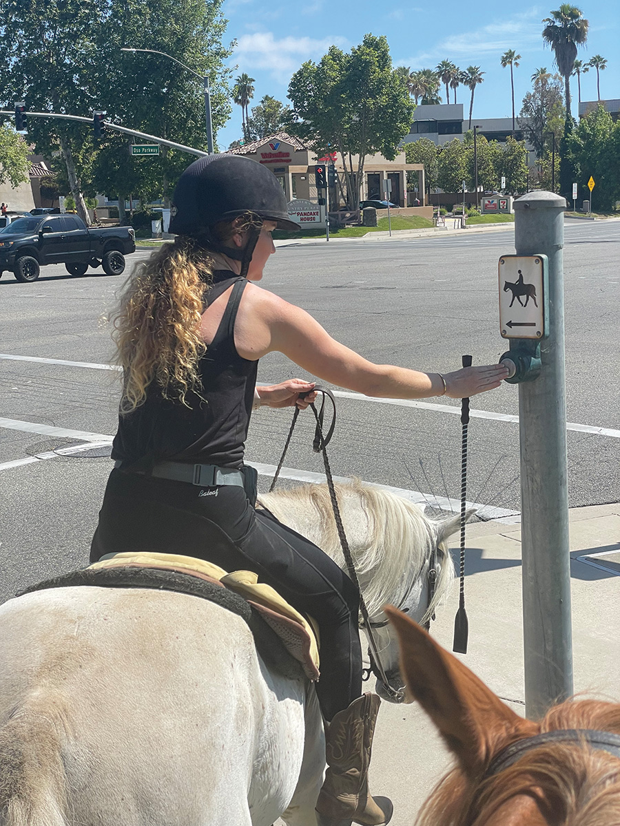 A rider presses a horse-height crosswalk button while urban trail riding. 