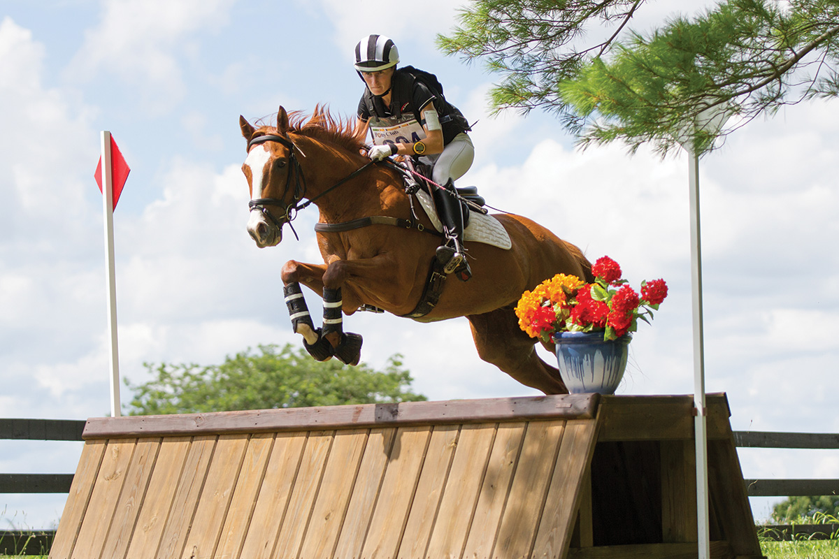 A horse and rider clear a cross-country jump successfully as a result of visualization techniques
