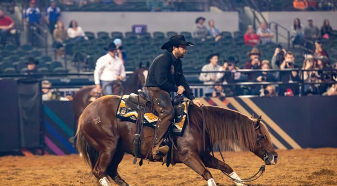Adan Banuelos on cutting horse Storyteler at the 2024 American Performance Horseman