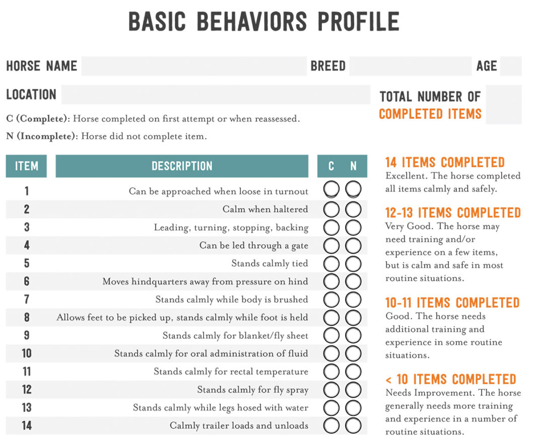Evaluating Horses with the Basic Behaviors Profile - Horse Illustrated