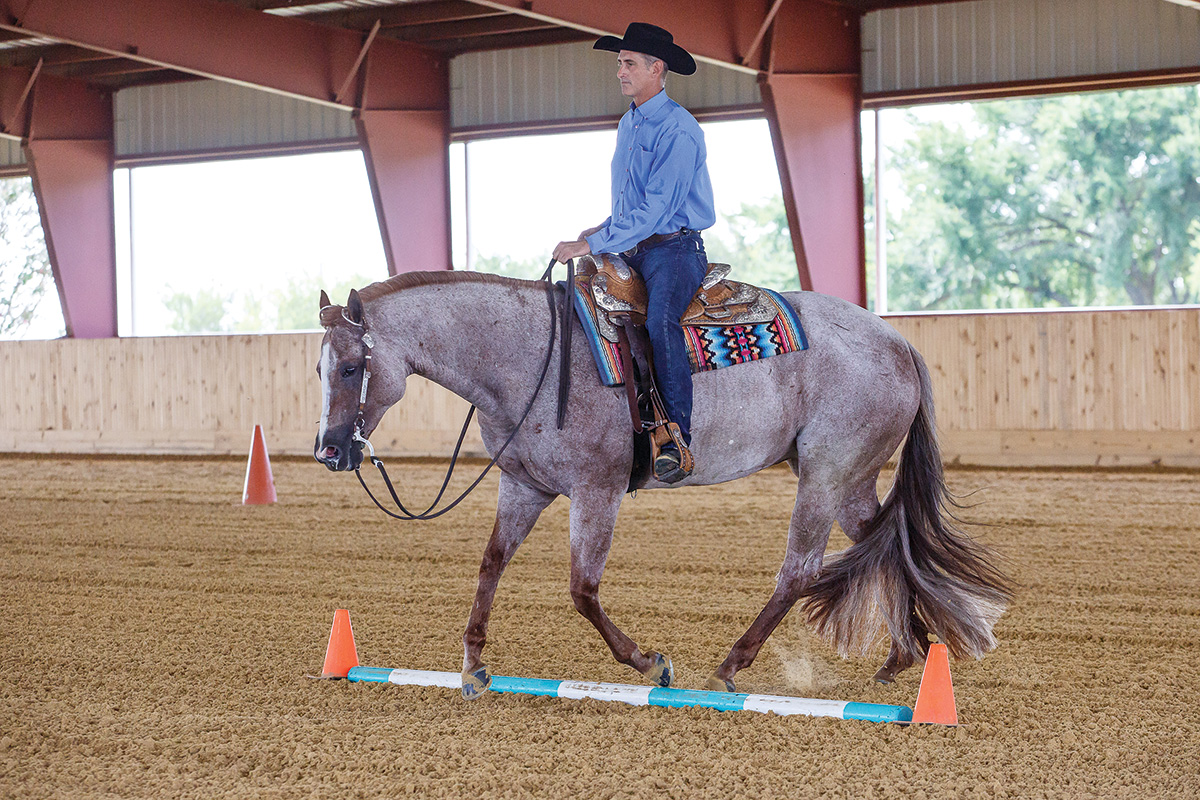 An AQHA trainer lopes a horse over a log as part of a western riding pattern