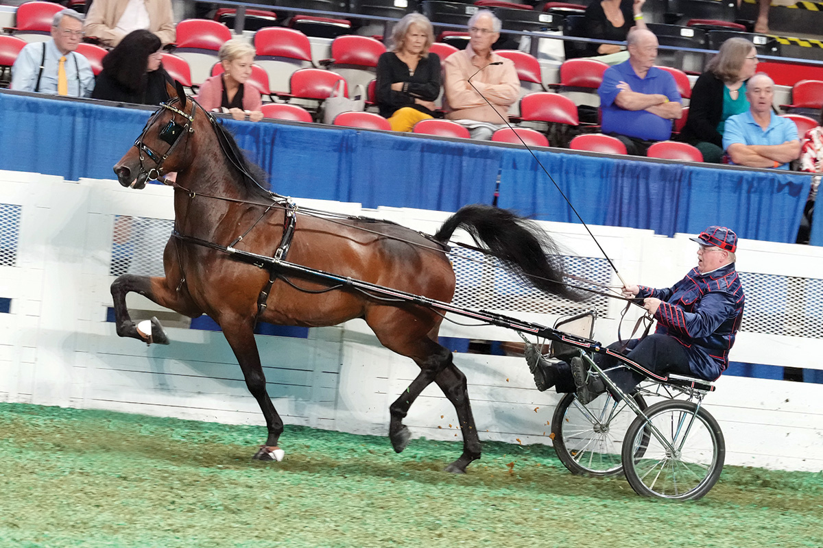 The World’s Championship Horse Show