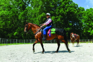 Self-Defense for Equestrians
