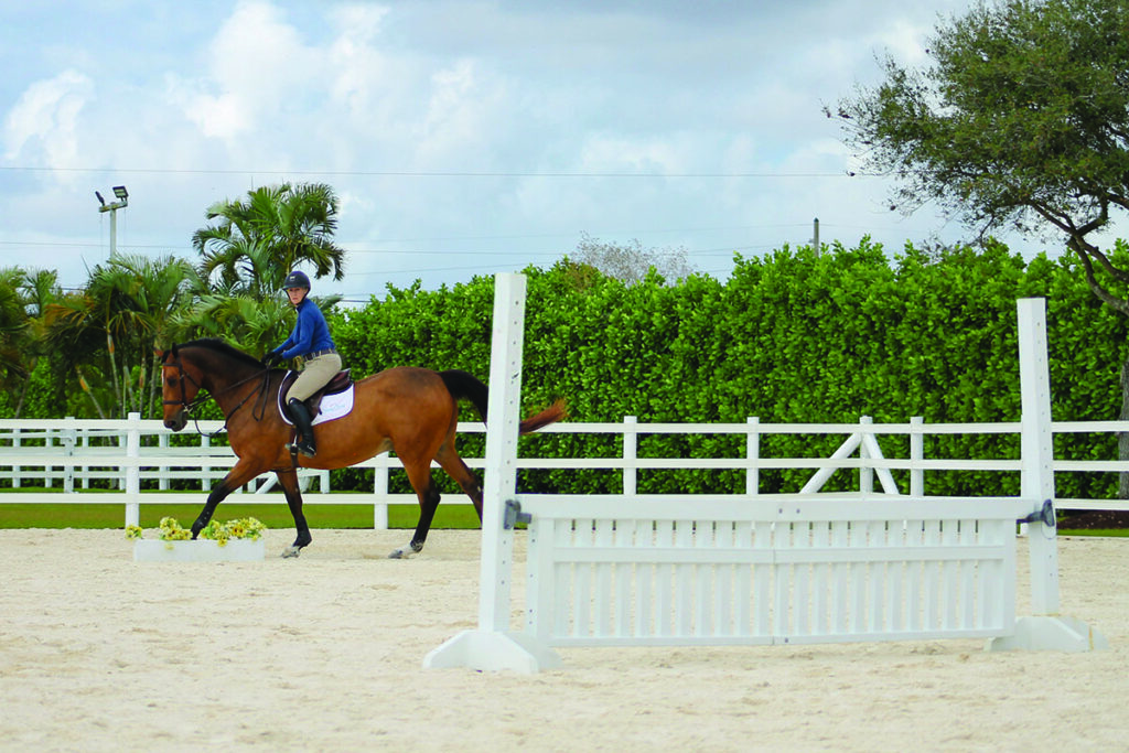 practice tracks for horse jumping