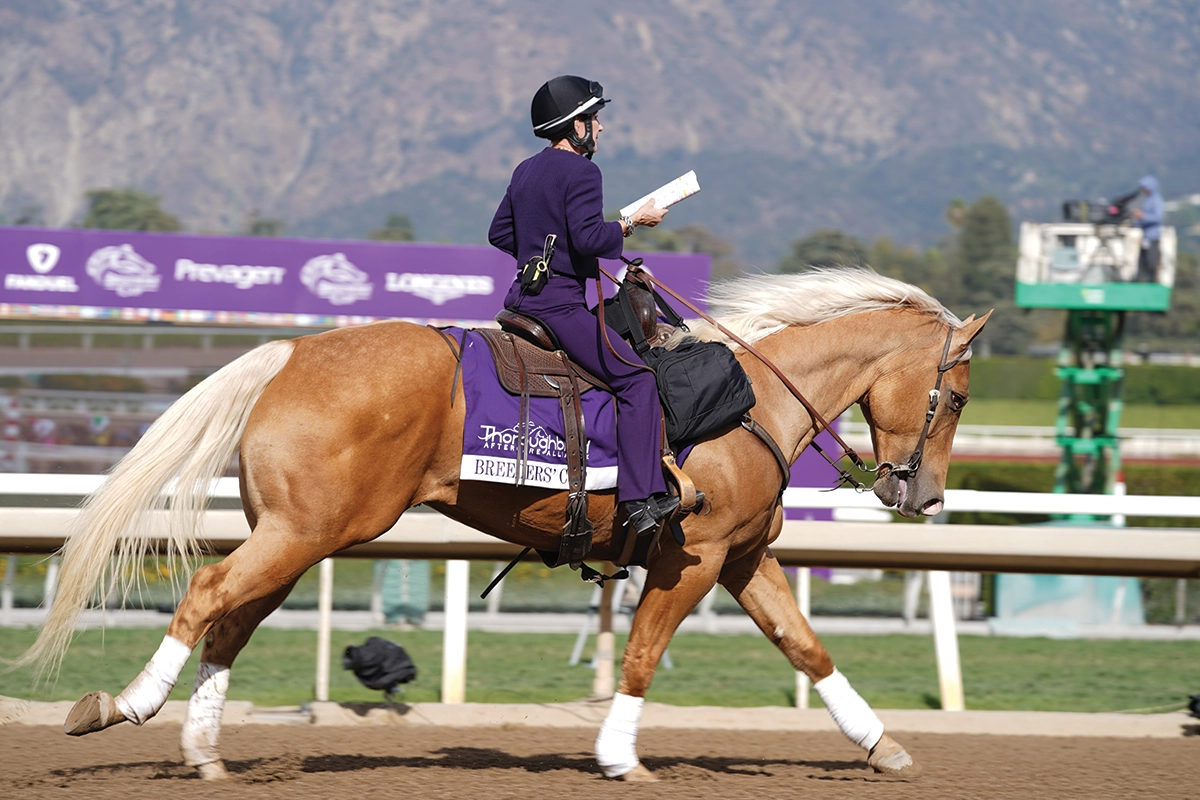 Riding a palomino past the scenic mountains at Santa Anita during the Breeders’ Cup Championships. 