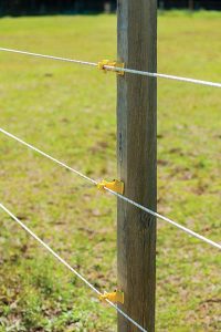 Electric Fence Design - Cooperative Extension: Livestock - University of  Maine Cooperative Extension