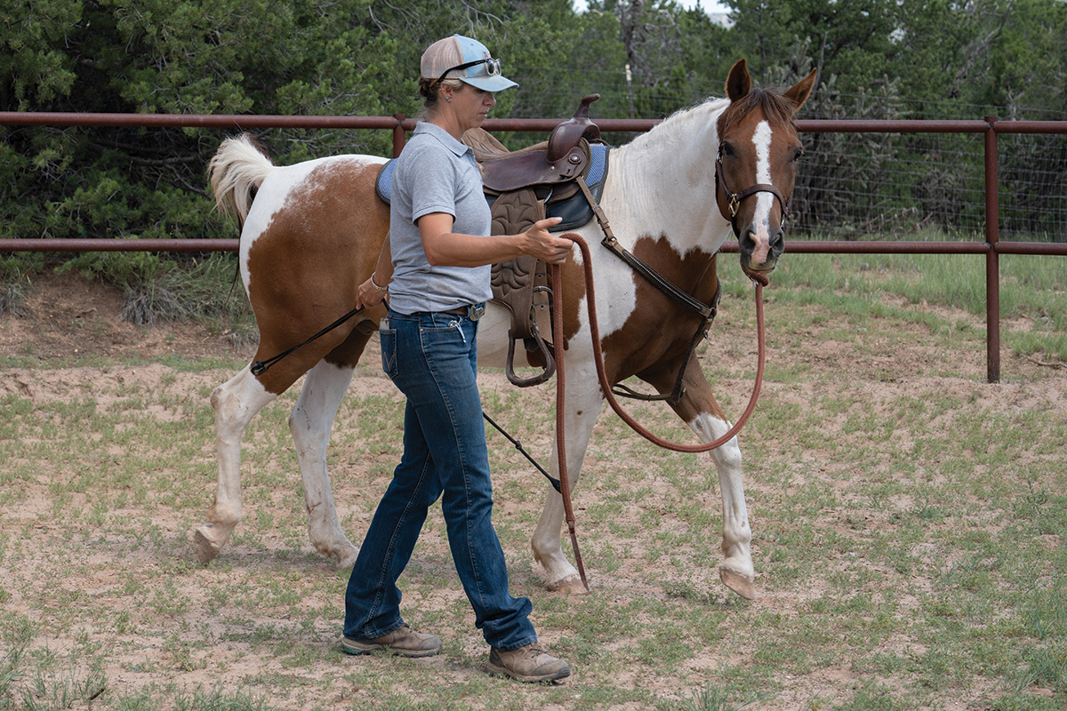 A trainer works with a rescue horse at Enchantment Equitreks