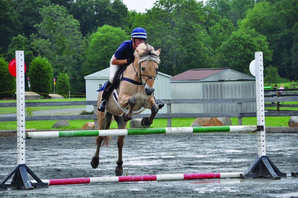 Ironwood Blitzen, an eventing stallion, shown jumping in a ring