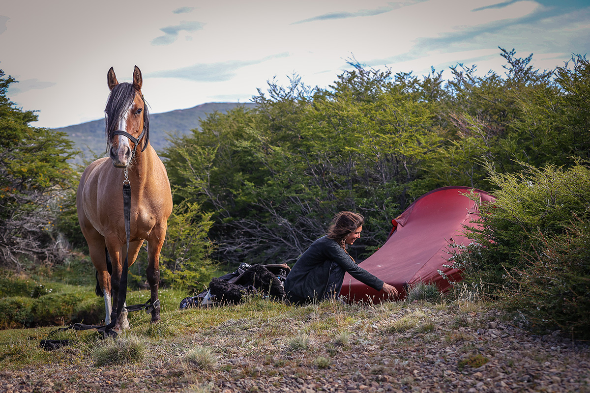 A rider setting up camp with her horse nearby