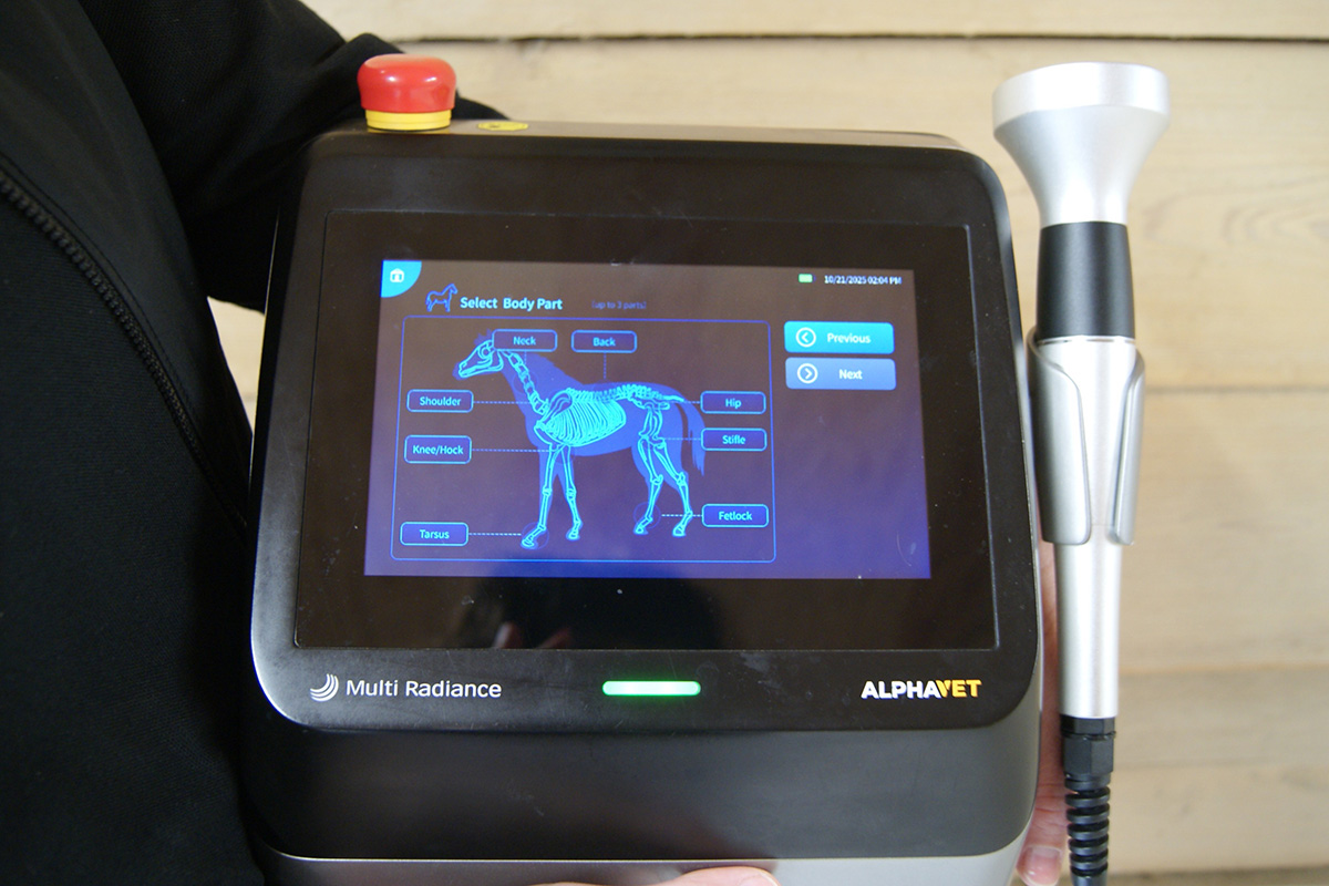 A Class IV's display of built-in anatomical protocols.