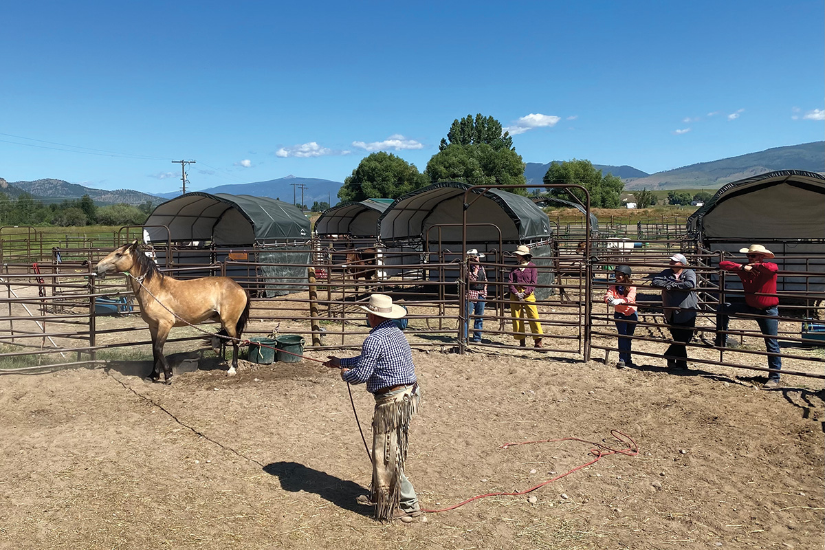 Joe Misner demonstrating at his horsemanship academy with a wild horse