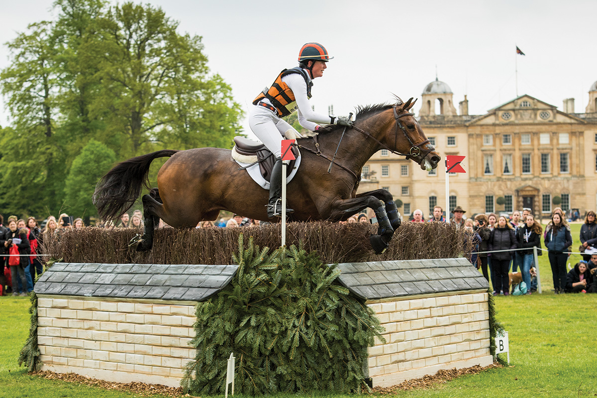 A Dutch Warmblood (KWPN) jumping in cross-country