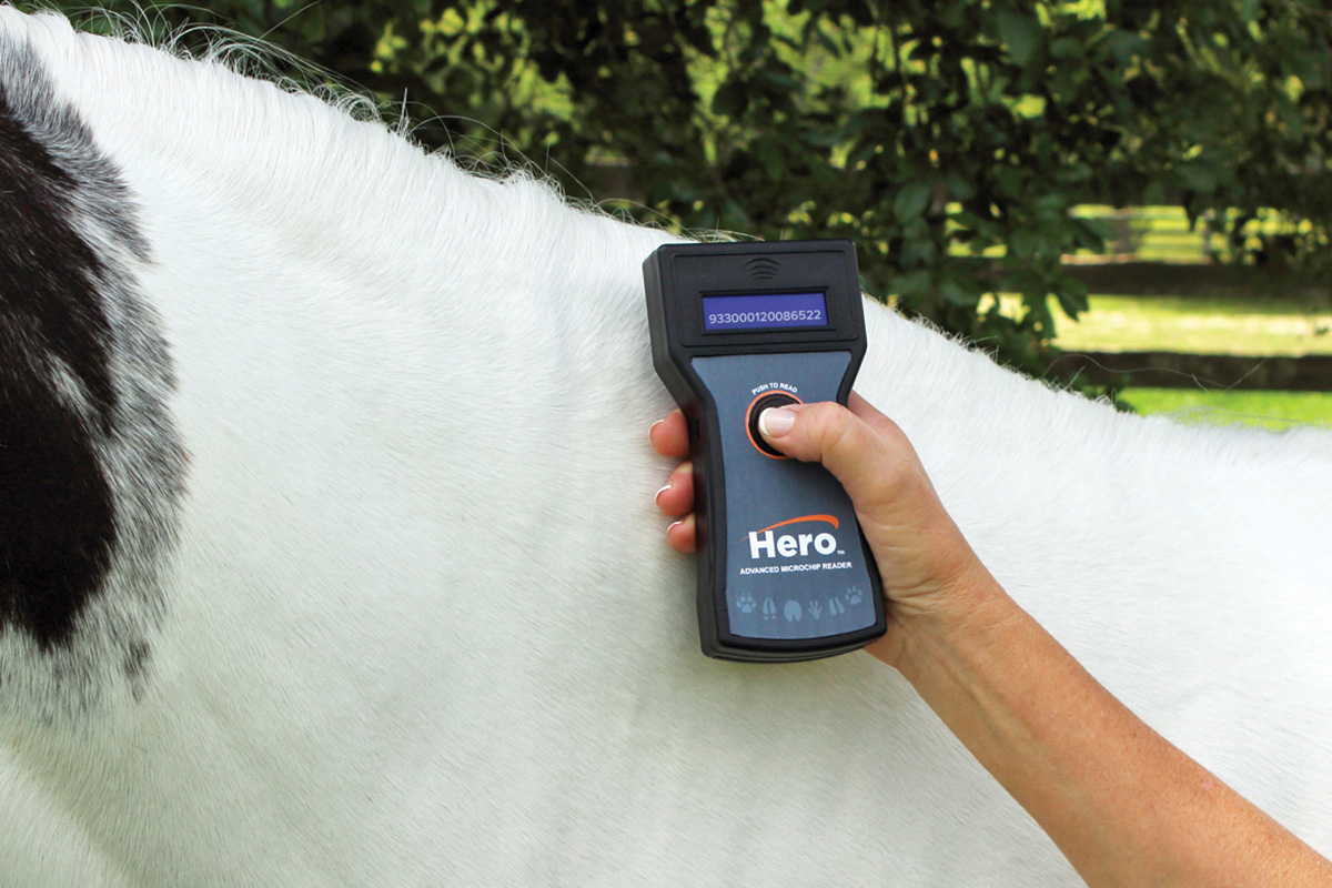Microchipping Your Horse - Horse Illustrated